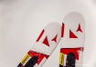 Ski Tips