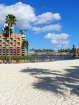 Palm Paradise