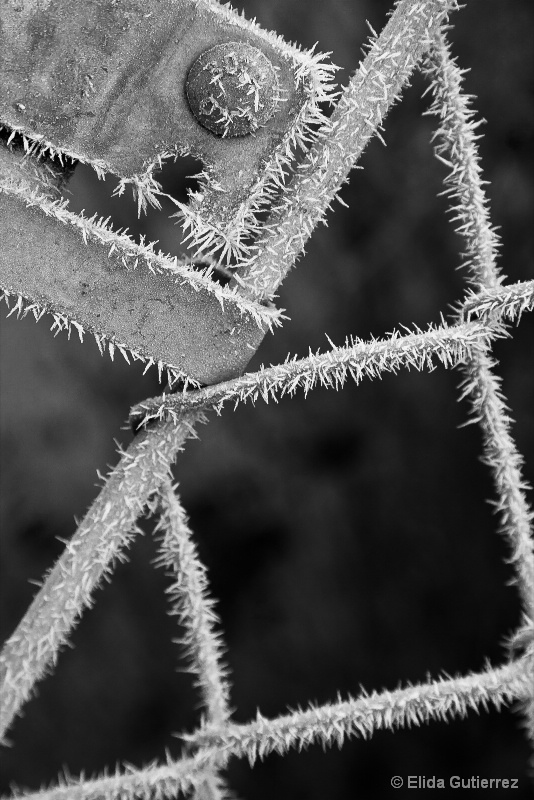 fuzzy fence