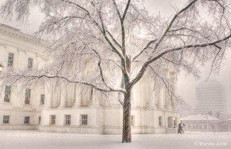 Virginia State Capitol in Snow II