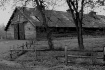 BW Horse Barn
