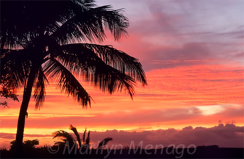Hawaiin Sunset
