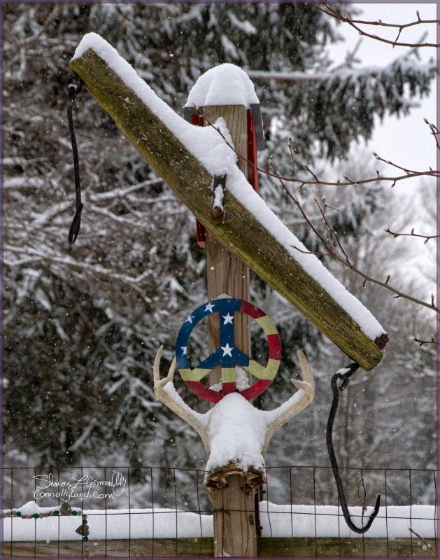 Redneck Winter