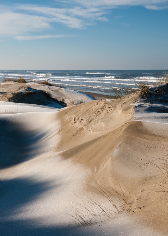 Frosty Dunes