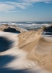 Frosty Dunes