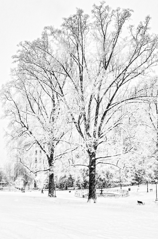 Virginia State Capitol in Snow IV