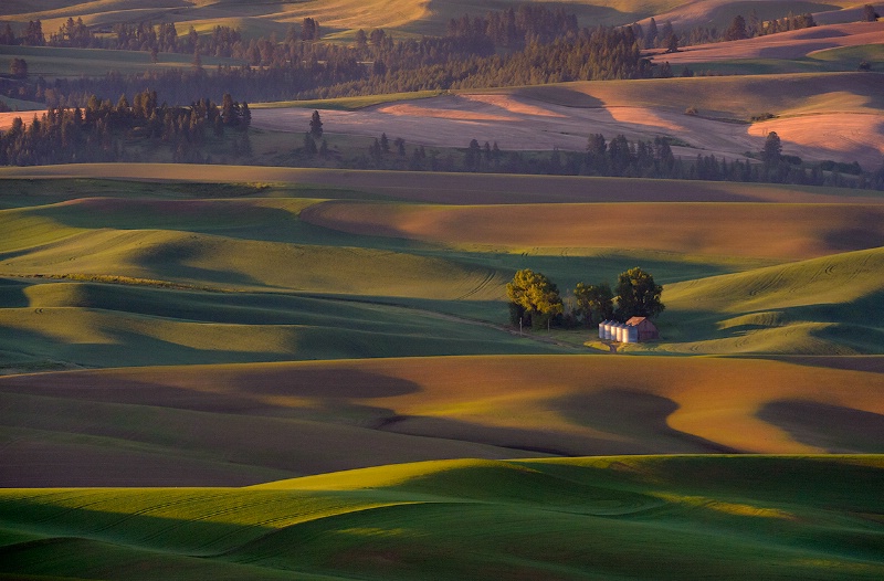 Palouse Valley