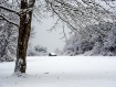 Let It Snow