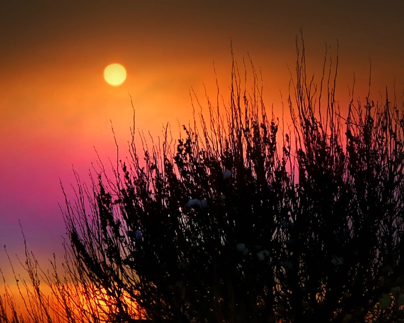 Antelope Island Sunset