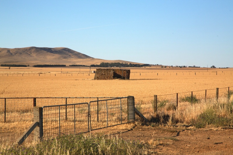 South Australian Wheat Belt