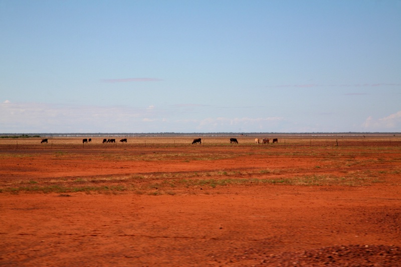 Red plains at sunset, Outback Queensland