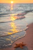 Setting Sun
