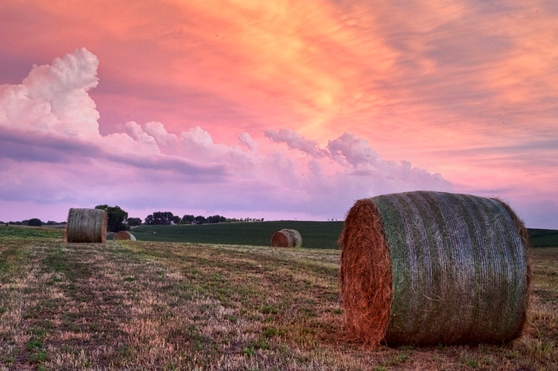 Farmland