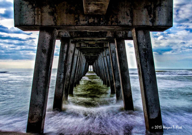 Under the Venice Pier