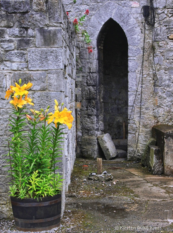 Fresh Flowers And Weathered Walls