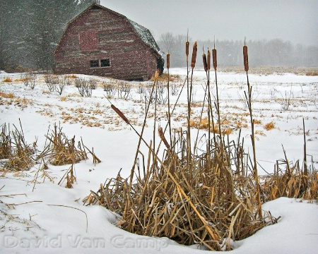 Snowy ADK Barn