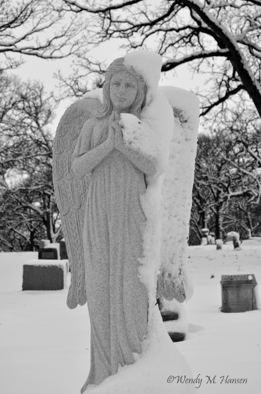 Frozen Angel 2 wm