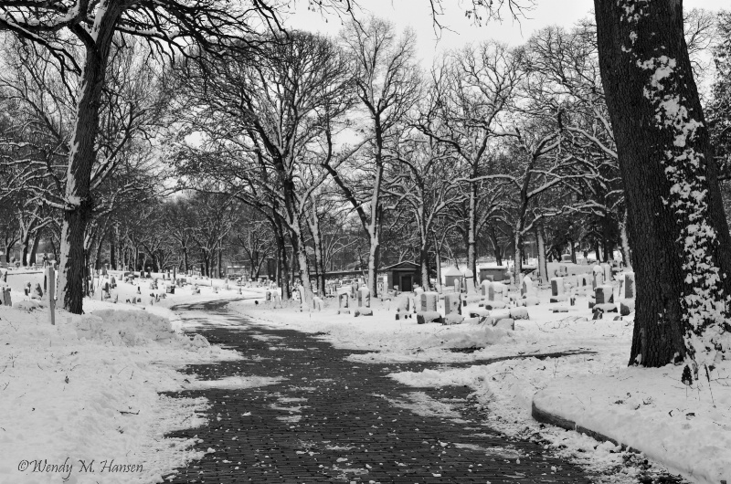 Snowy Cemetery Path wm