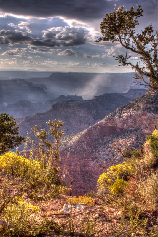 Grand Canyon