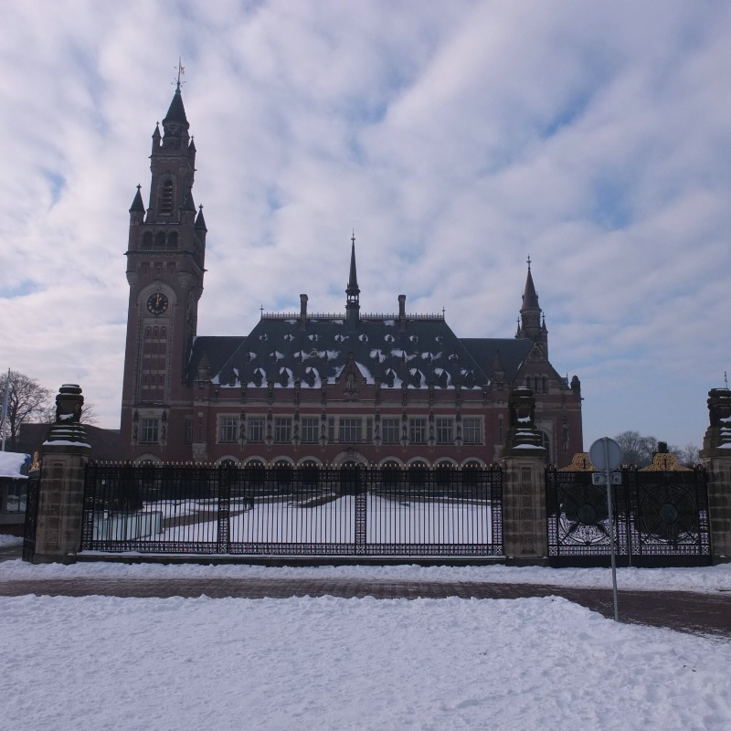 PeacePalace,DenHaag@ the image is entirely distort