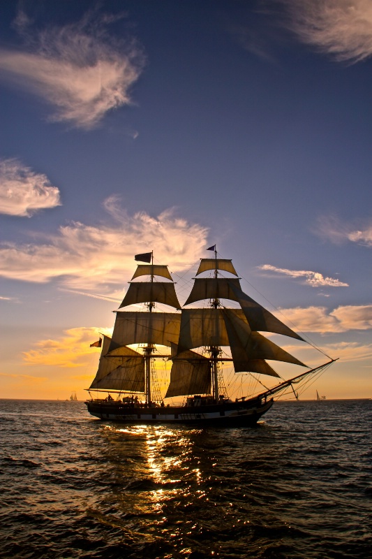 Sunset Sails