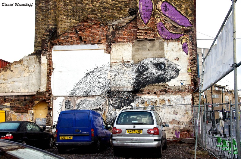 Rat in Parking Lot by Roa