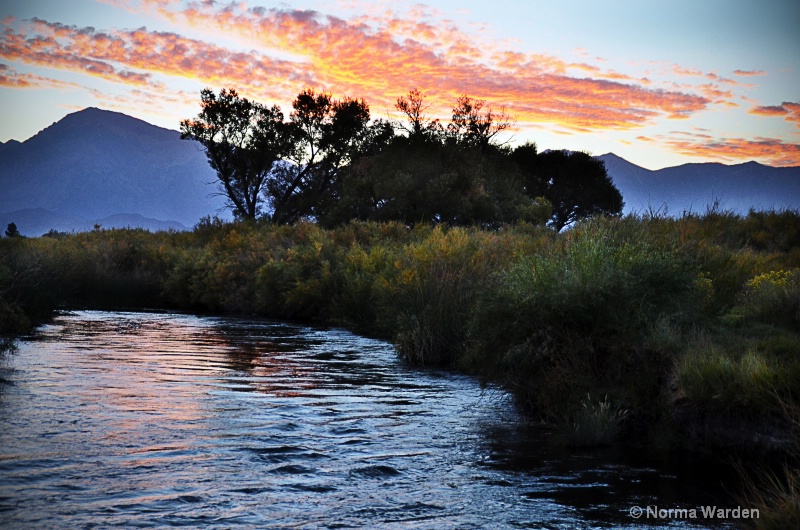 Evening At Owens River
