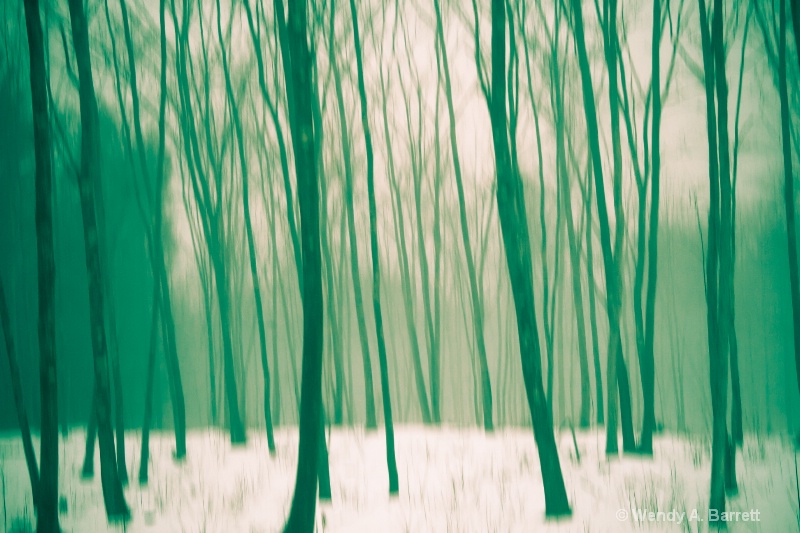 Eerie Woods - ID: 13670312 © Wendy A. Barrett