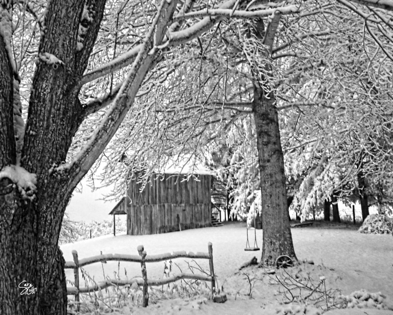 Snow in Infrared