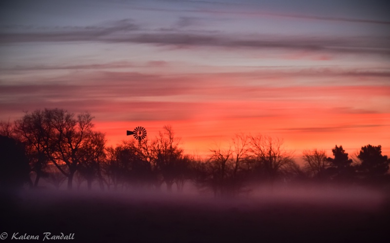 Texas Sunrise