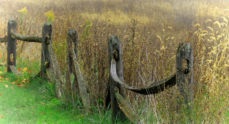 Picked Fence