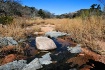 ~ Sandy Creek ~