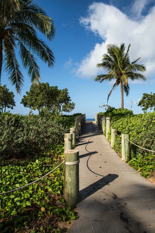 Beachfront Walkway