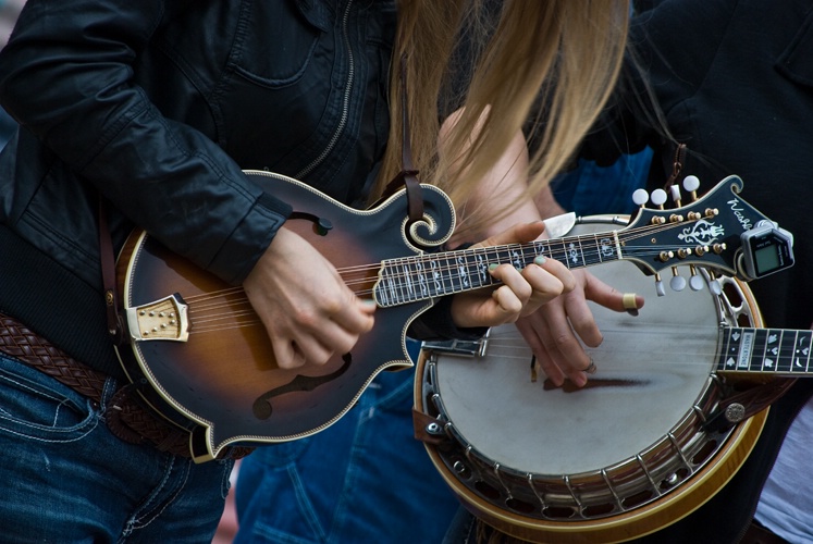 Bluegrass