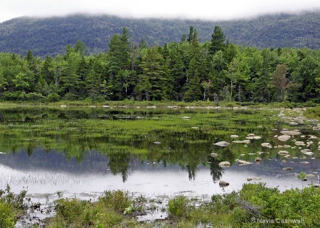 kancamagus nh 2012aug