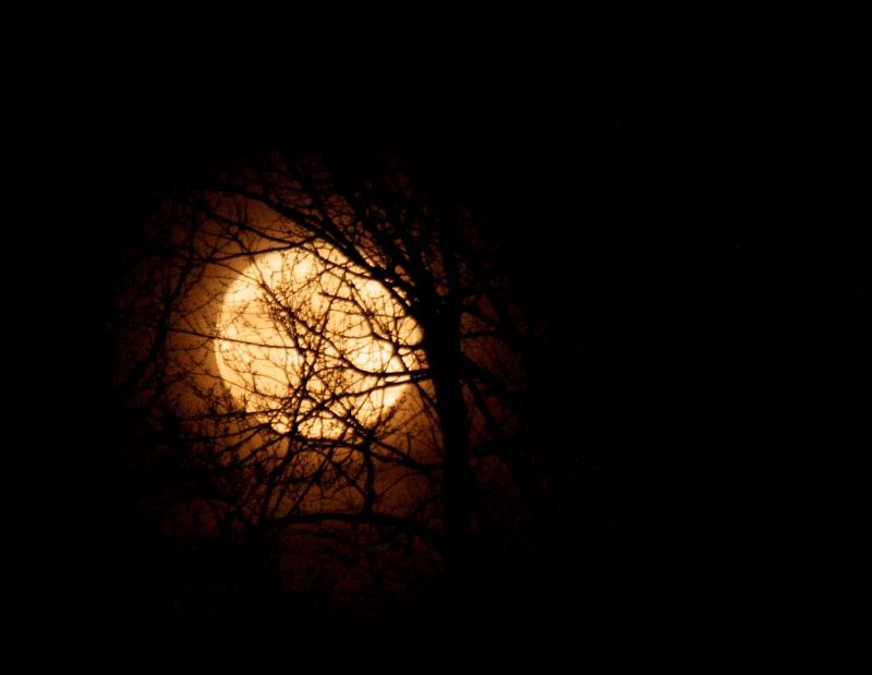 Winter Moon Rising