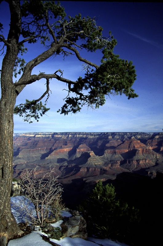 Grand Canyon, framed