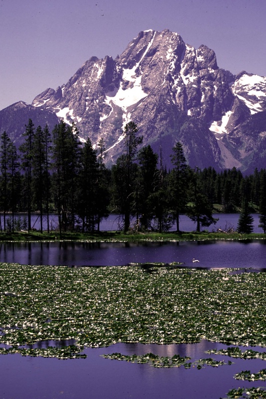 Teton Range