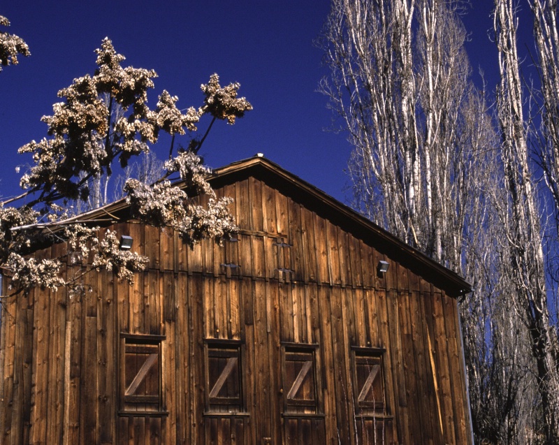 Barn in Winter