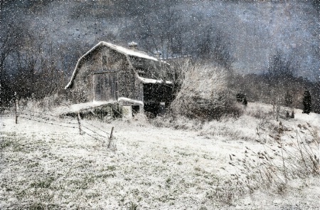 Winter Barn