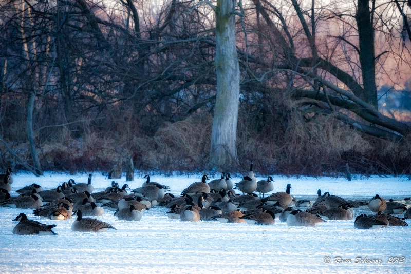 The Gathering