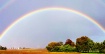 Natural Colored S...