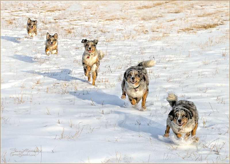 Here I come Mommy!!