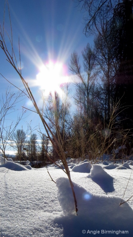 Snowbank 