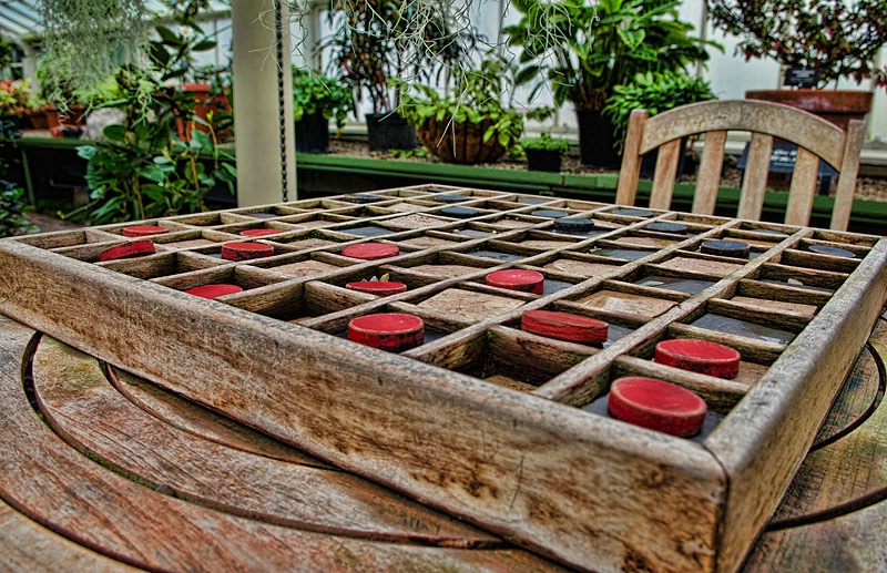 Checkers Inside The Garden