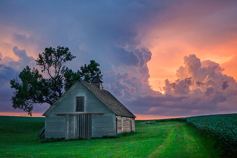 Summer on the Plains