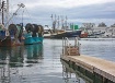 Gloucester Harbor