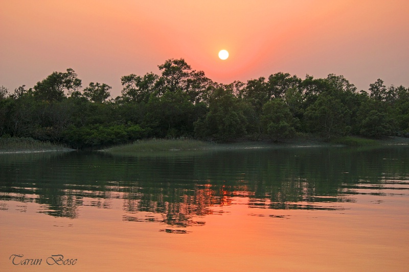 Sunset at Sundarbans.
