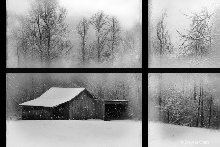 Photography Contest Grand Prize Winner - February 2013: Snow Day in B&W