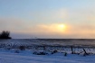 frozen farmland